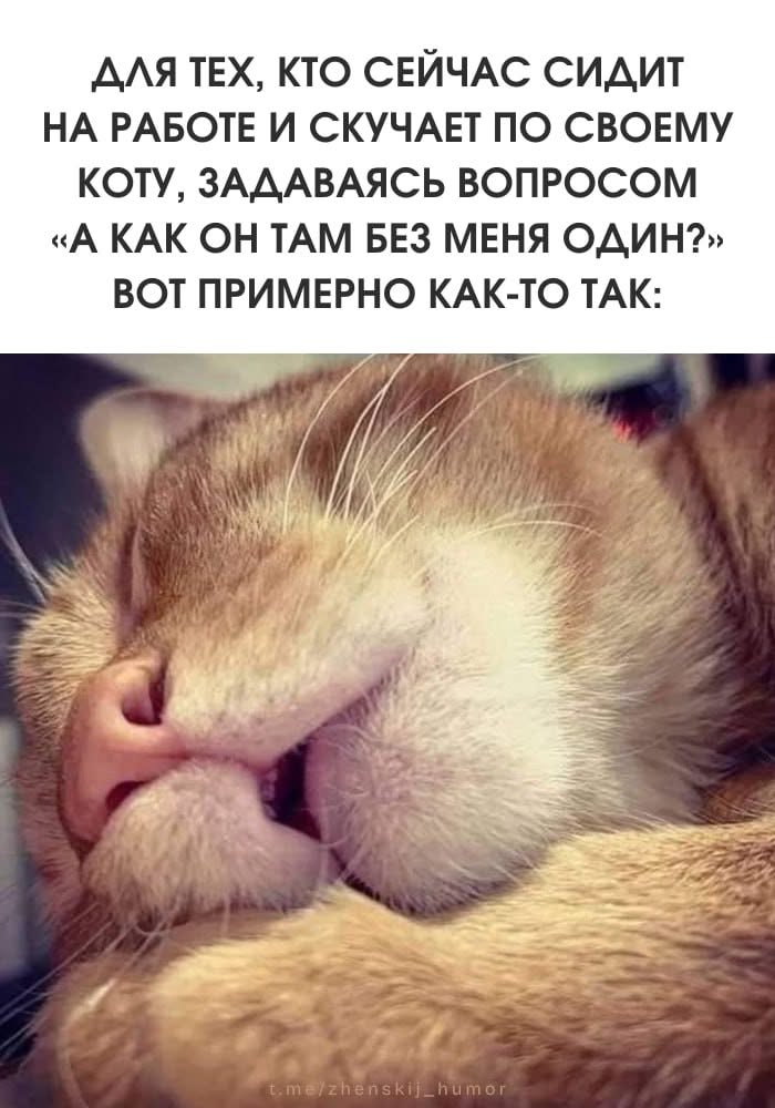 Женский юмор ❤️