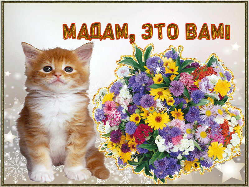 Цветы для красивой девушки