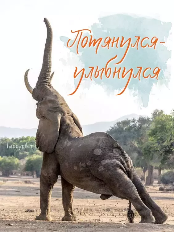 Картинки с надписями “Доброе утро!”