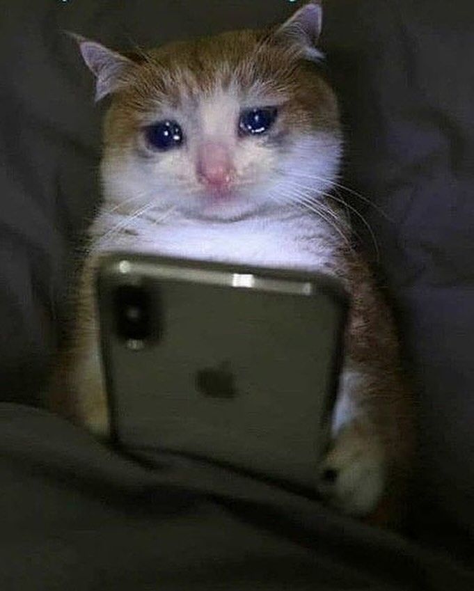 ﹫𝗦𝗨𝗟𝗧𝗥𝗬𝗘𝗦