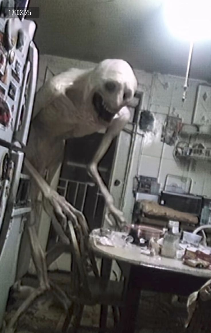 meu cachorro tá meio estranho Devo levar ele No veterinário???