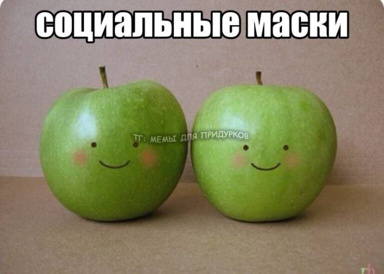 тг: мемы для придурков