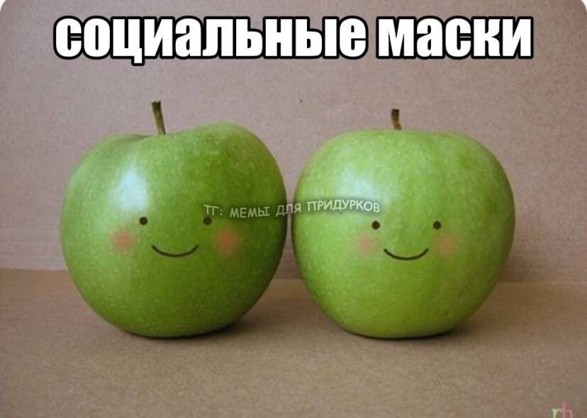 тг: мемы для придурков