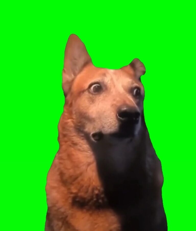 Идея рилс | контент для блога | юмор | Фриланс | reels | smm продвижение мемы