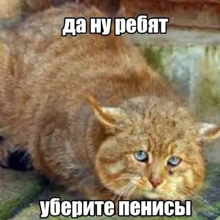 да ну ребят уберите