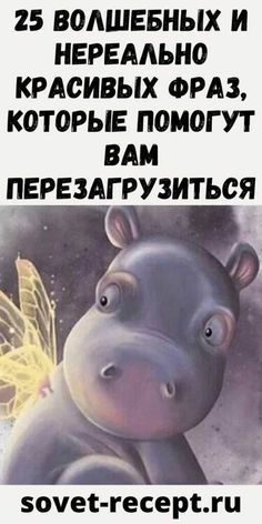 картинки смешные886