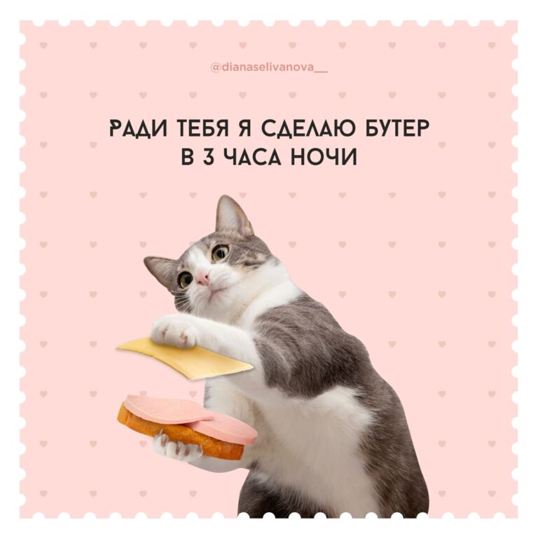 Кот с бутером