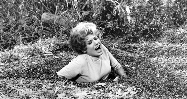 22 эротических фото из \