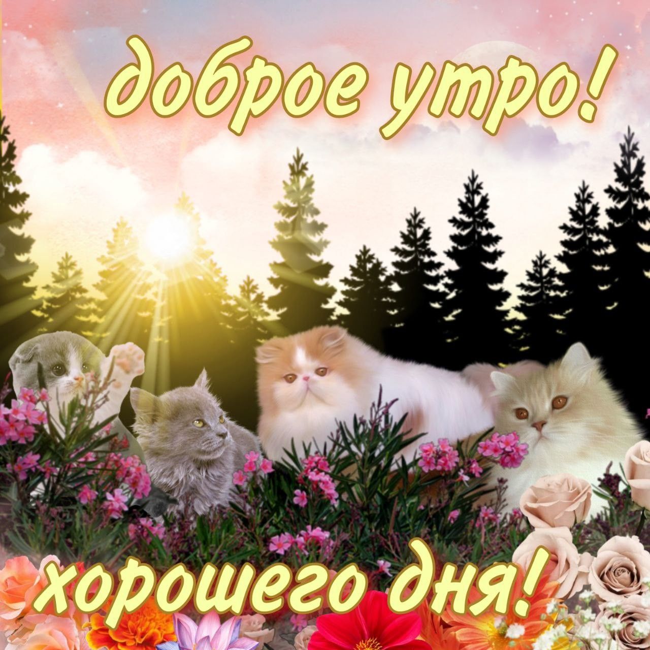 Доброе утро