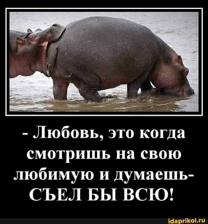 – Любовь, это когда смотришь на свою любимую и думаешь- СЪЕЛ БЫ ВСЮ! – АйДаПрикол