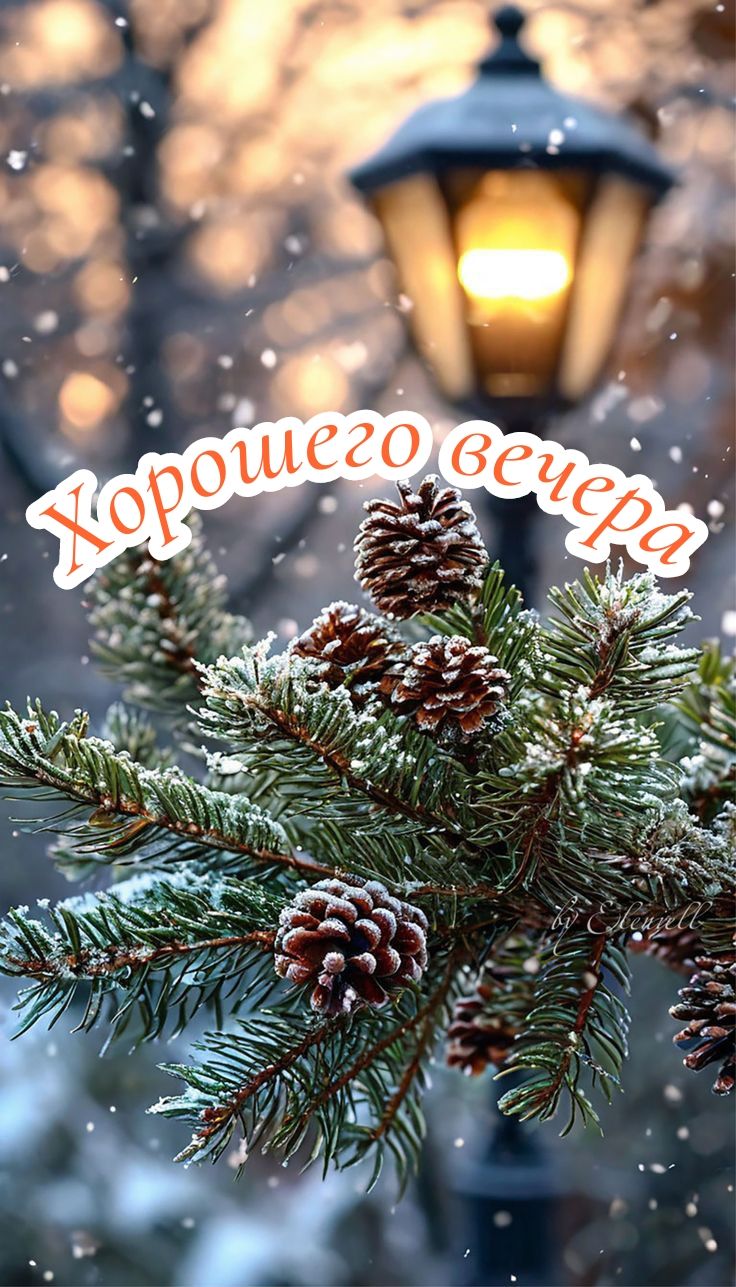 Хорошего вечера