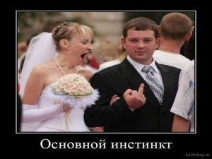 Новые демотиваторы (35 картинок)