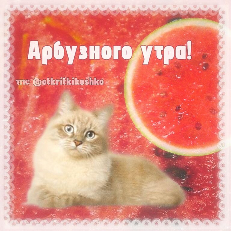 открытка! 🥹