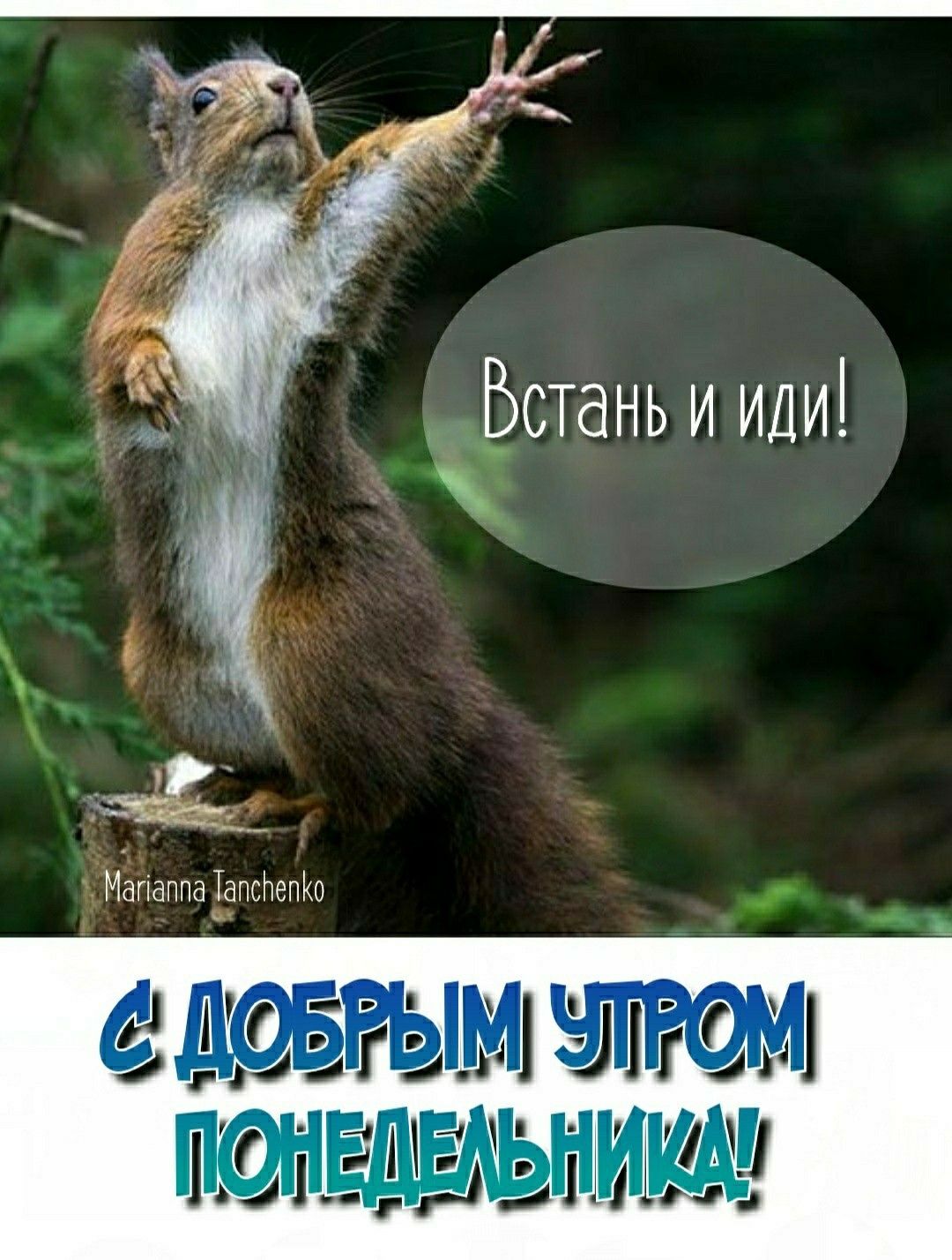 Утро, понедельник