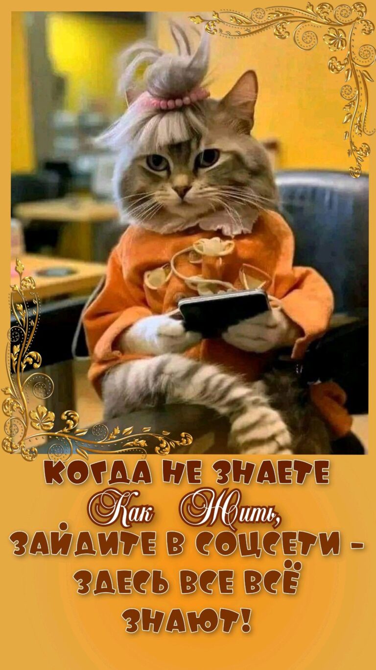 Когда не знаешь,как жить…