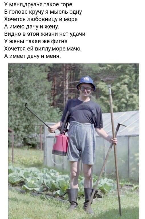 картинки смешные769