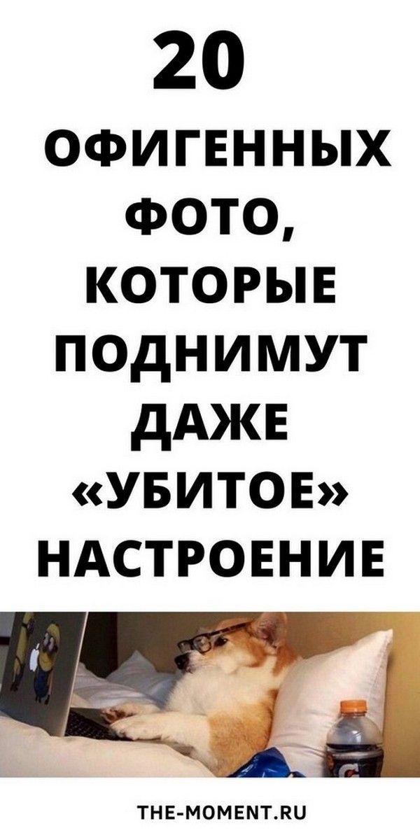 20 новых и очень смешных анекдотов в картинках | Магия Жизни