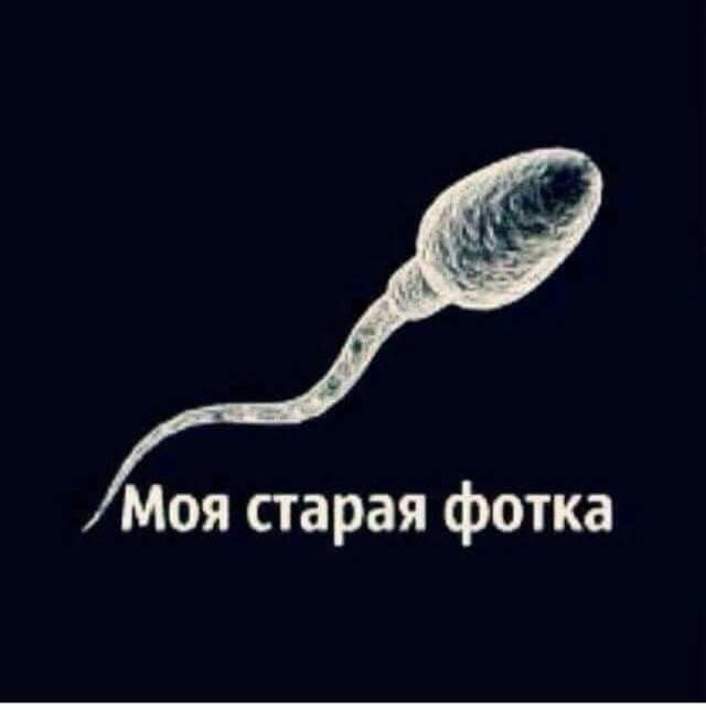 Фото 861274507387 из альбома Разное. Разместил Багдат Рахманбеков в ОК