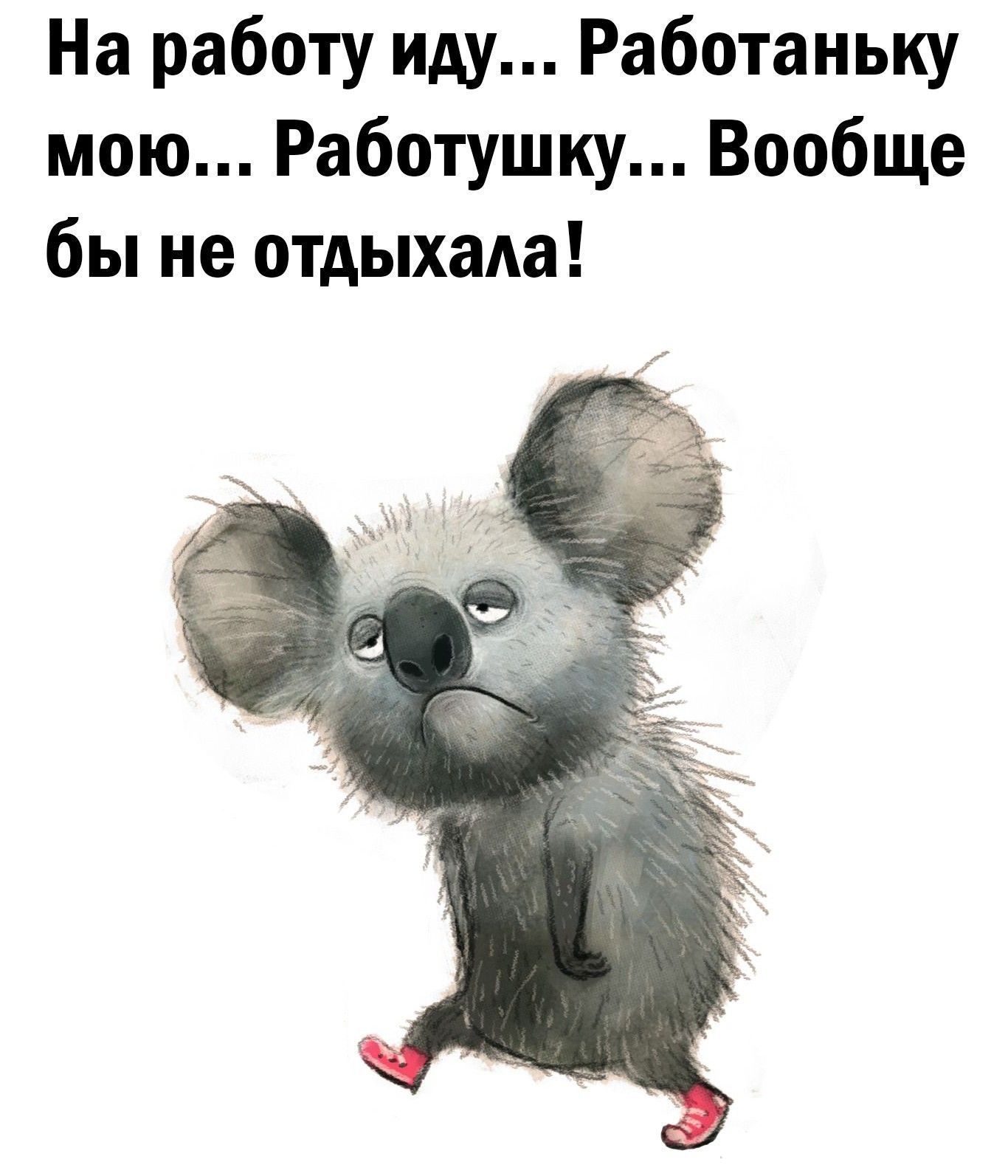 На работу, как на праздник