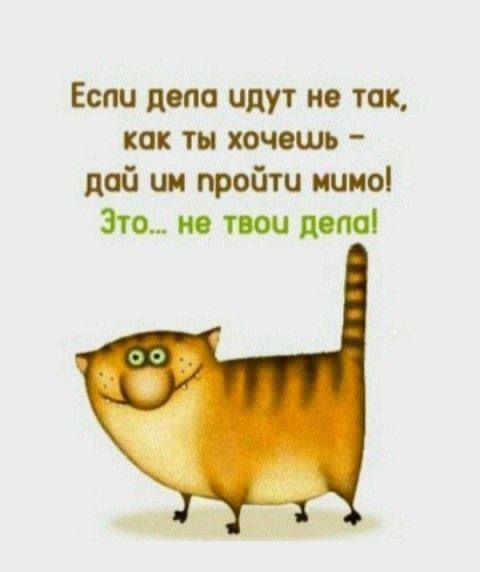 Если дела идут не так (открытка 536) • Открытки Топ