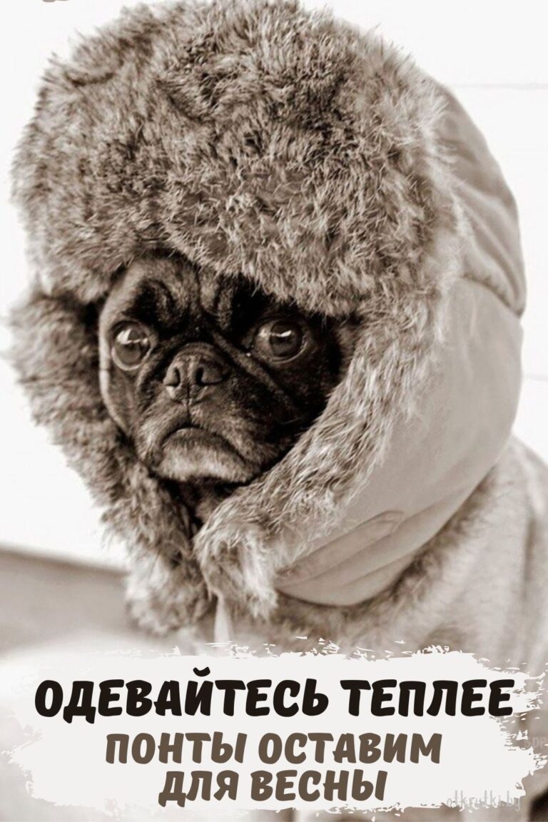 Зимние открытки и веселые картинки с надписями про ЗИМУ