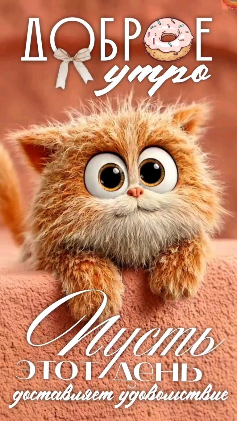 Доброе утро! ❤️