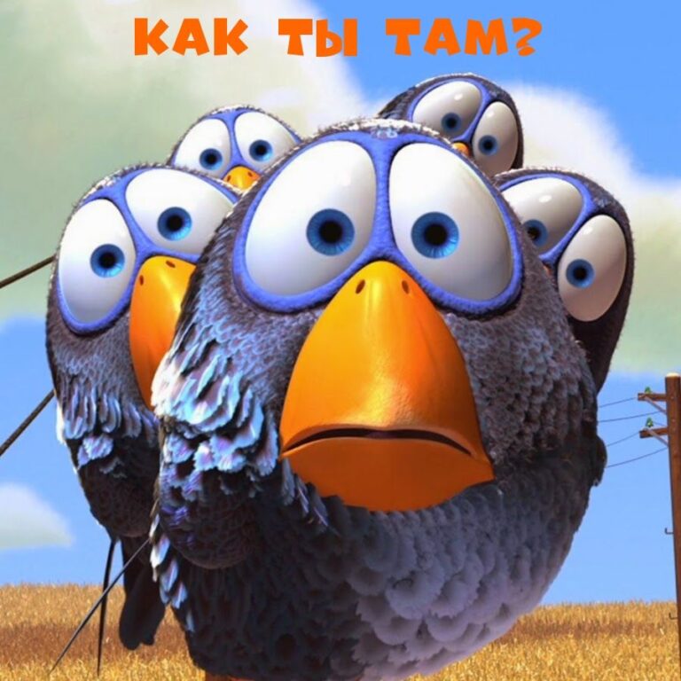 Как ты там?