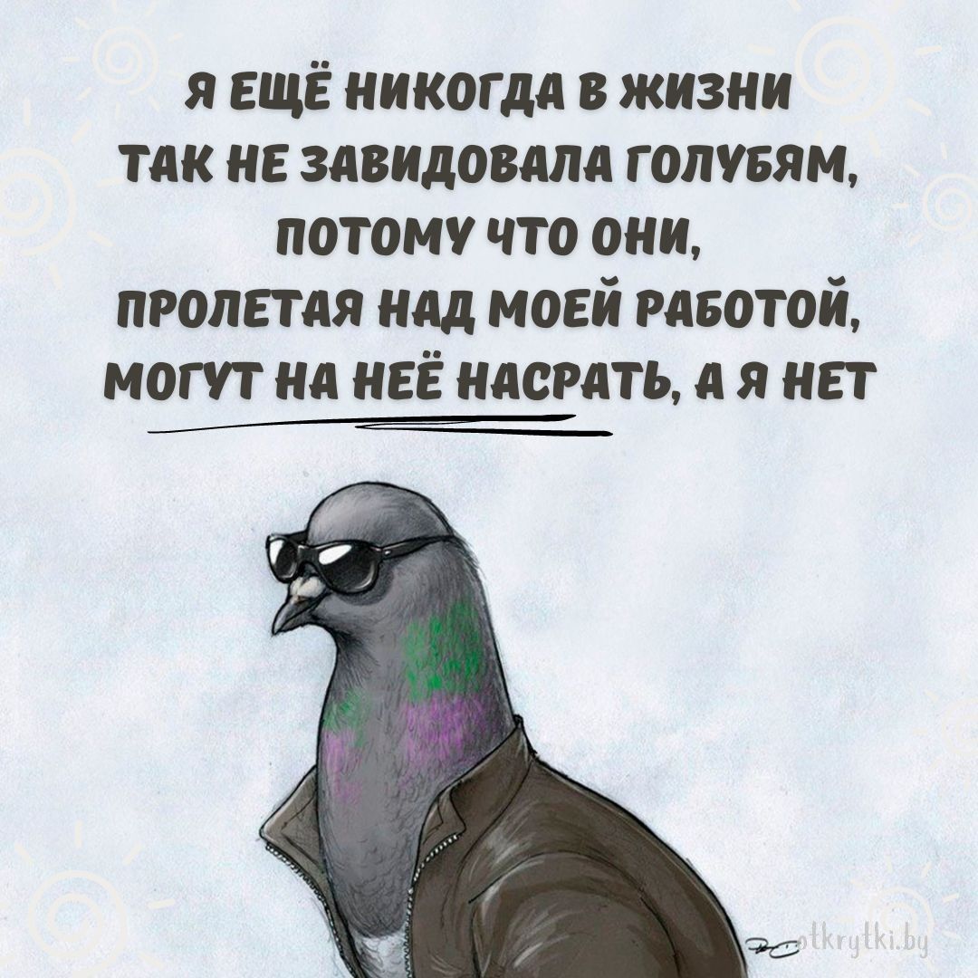 Классные картинки про РАБОТУ с юмором и веселыми надписями