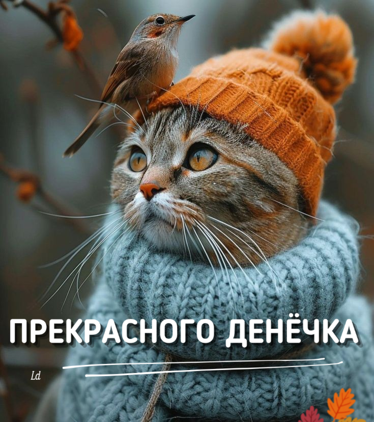 Добрый день