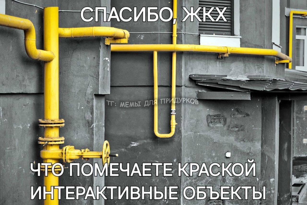 тг: мемы для придурков