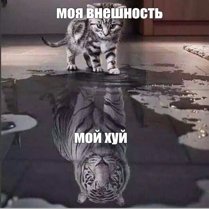 Мем: \