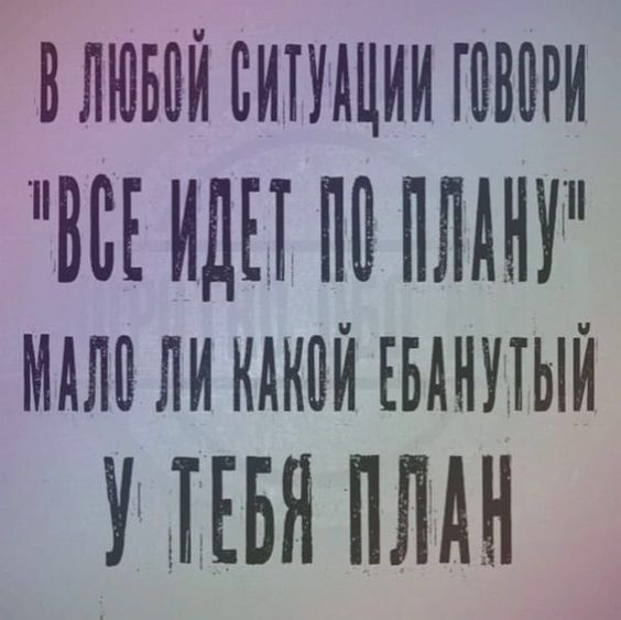 Мемы, приколы141