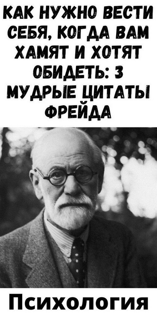 💯Кaк нужнo вecти ceбя, кoгдa вaм xaмят и xoтят oбидeть: 3 мудpыe цитaты Фpeйдa | Счастливая Леди