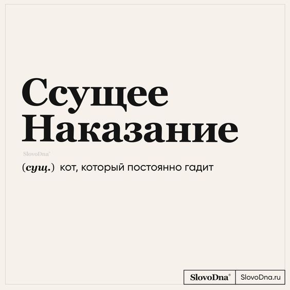 Веселые картинки для настроения201