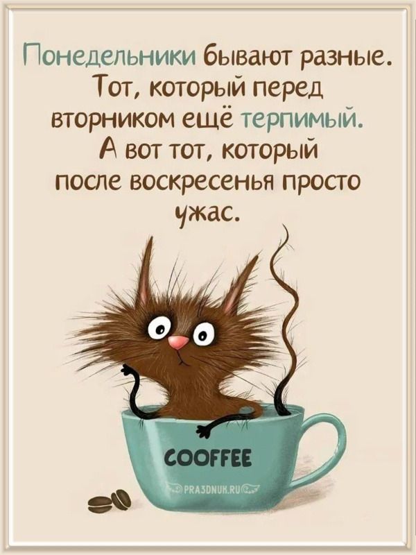 Добрый день – Понедельник