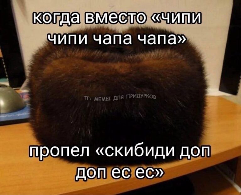 тг: мемы для придурков