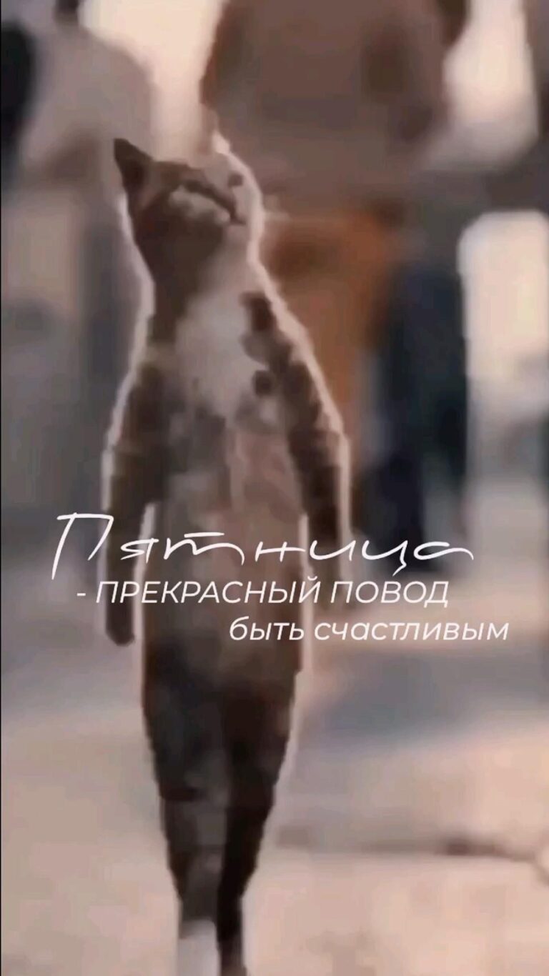 Мотивация с ИИ😁 с Пятницей!😉жми