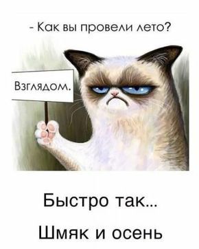 Юмор: все самое смешное из всей сети и из жизни