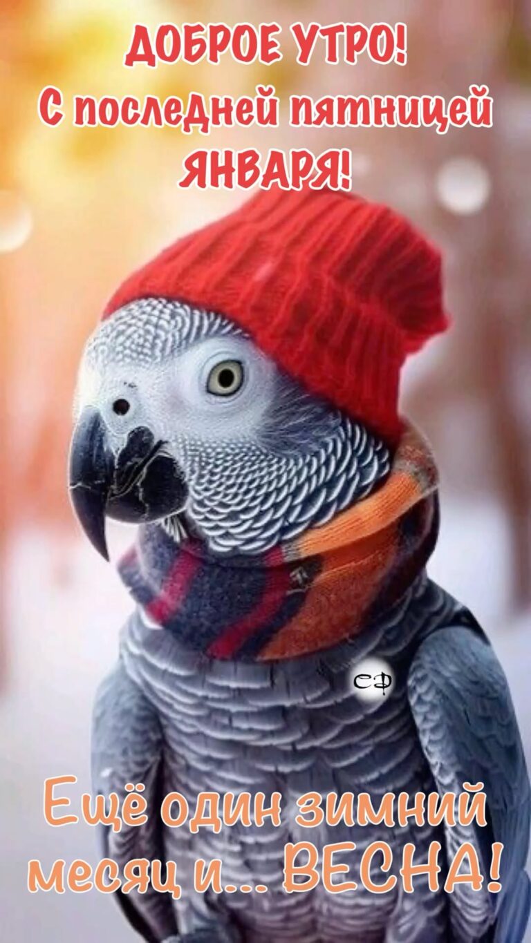 Доброе утро!