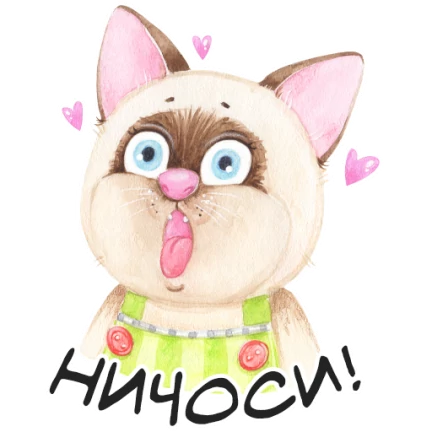 Медовик без раскатки коржей за 13 минут 🎂 | Интересный контент в группе Вкусные хитрости в ОК (Одноклассники)