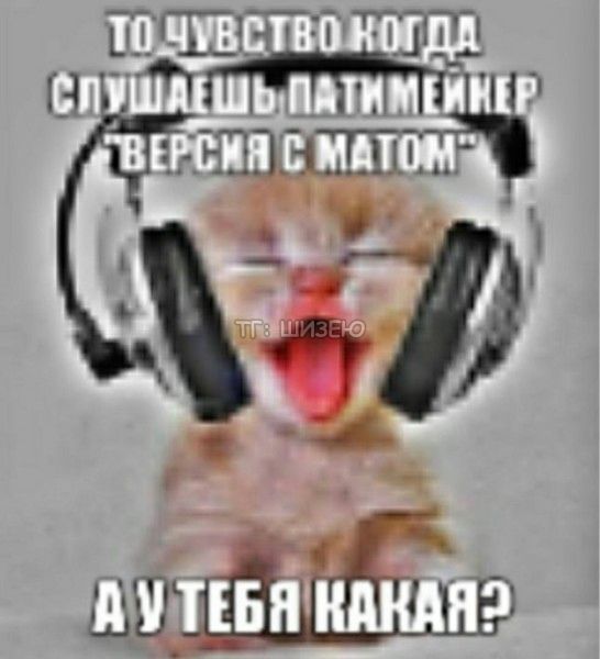 ❗ ТГ: ШИЗЕЮ