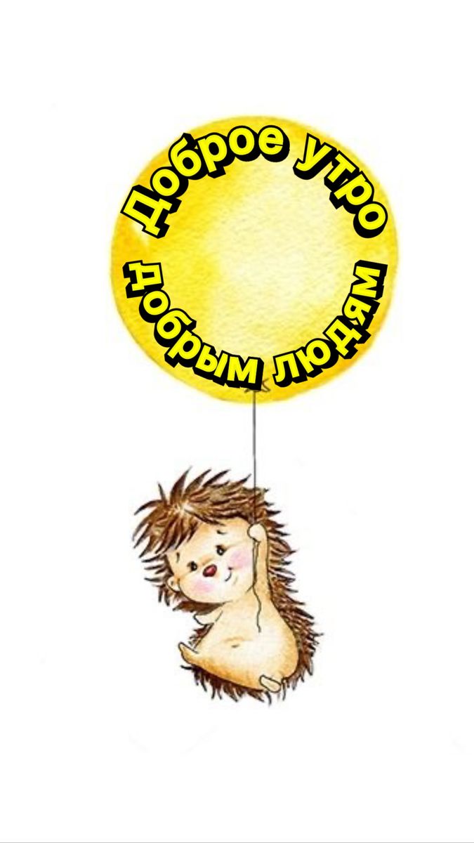 Доброе утро