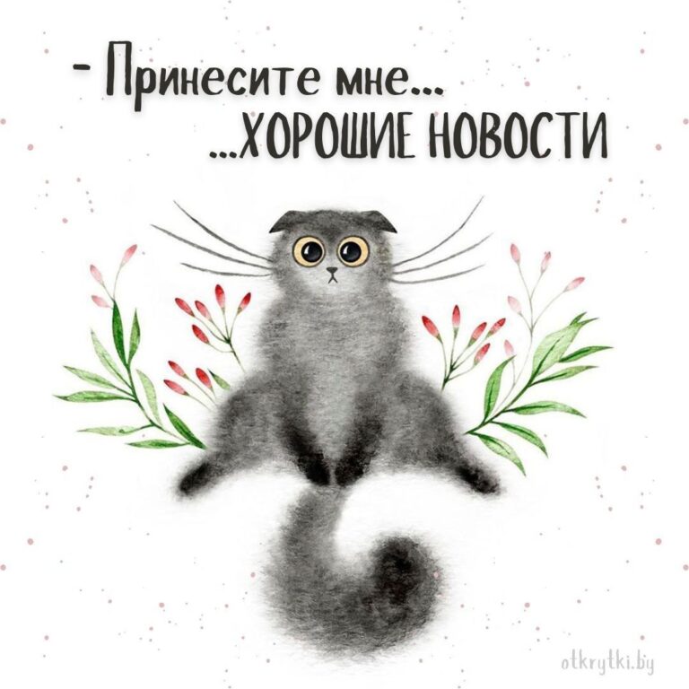 Подборка актуальных картинок на злободневные темы