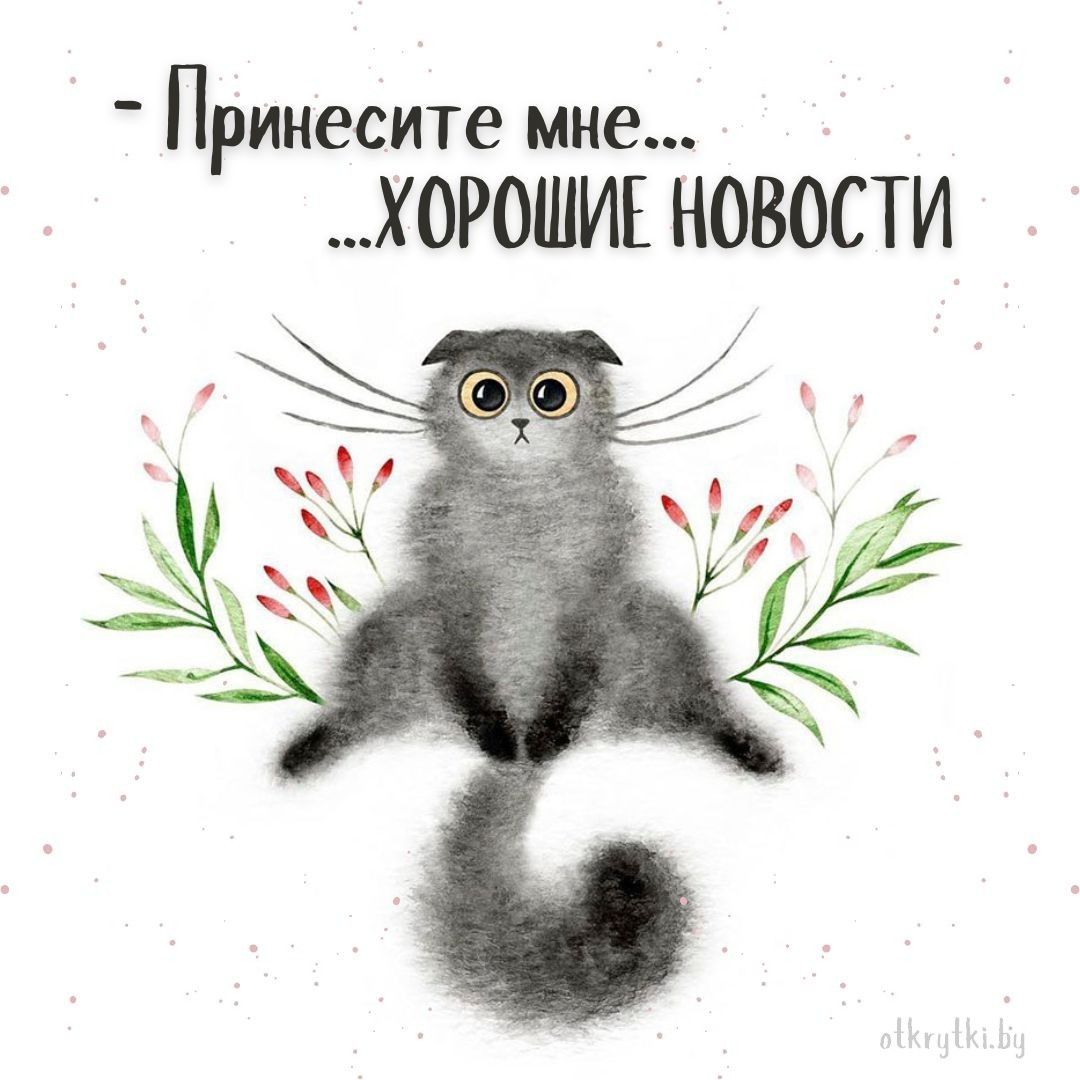 Подборка актуальных картинок на злободневные темы