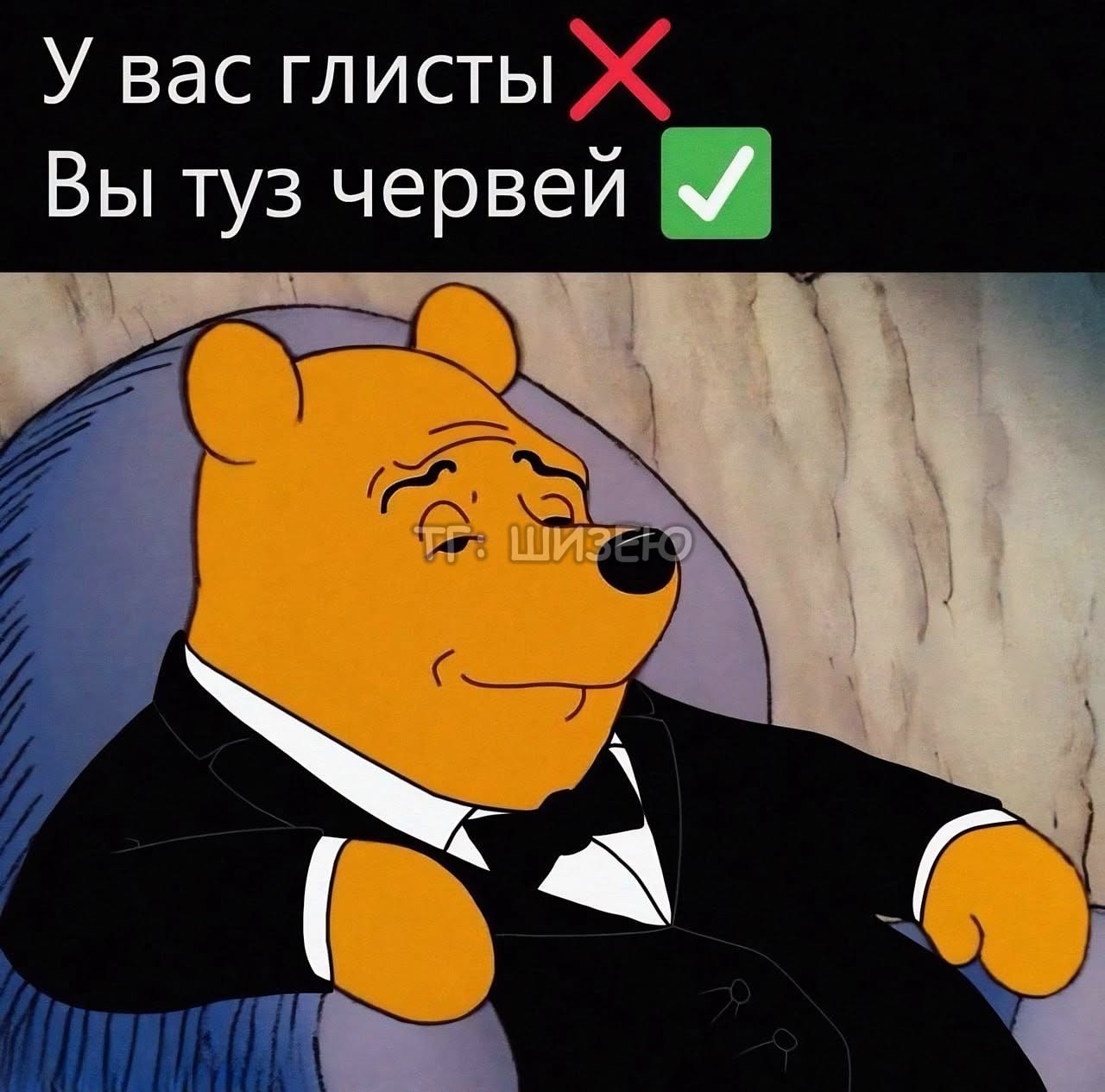 ❗ ТГ: ШИЗЕЮ