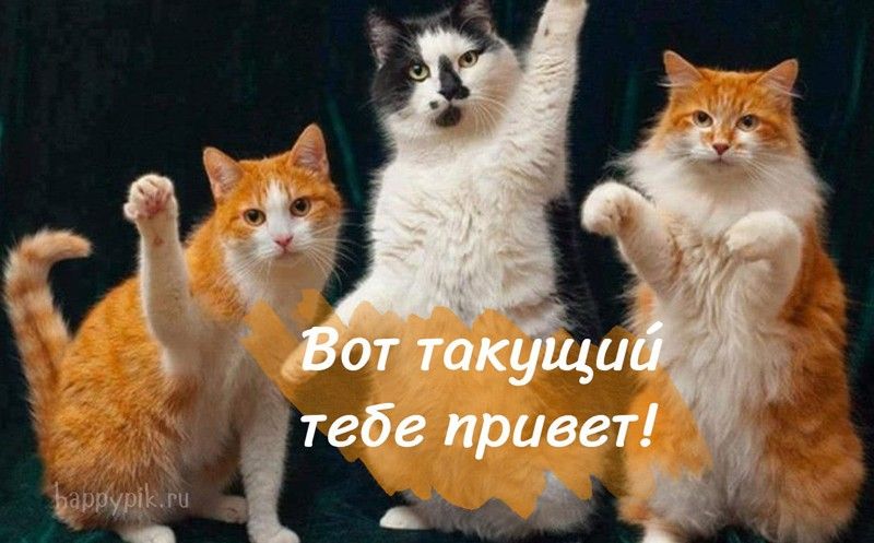 Картинки с надписью Привет – скачать бесплатно