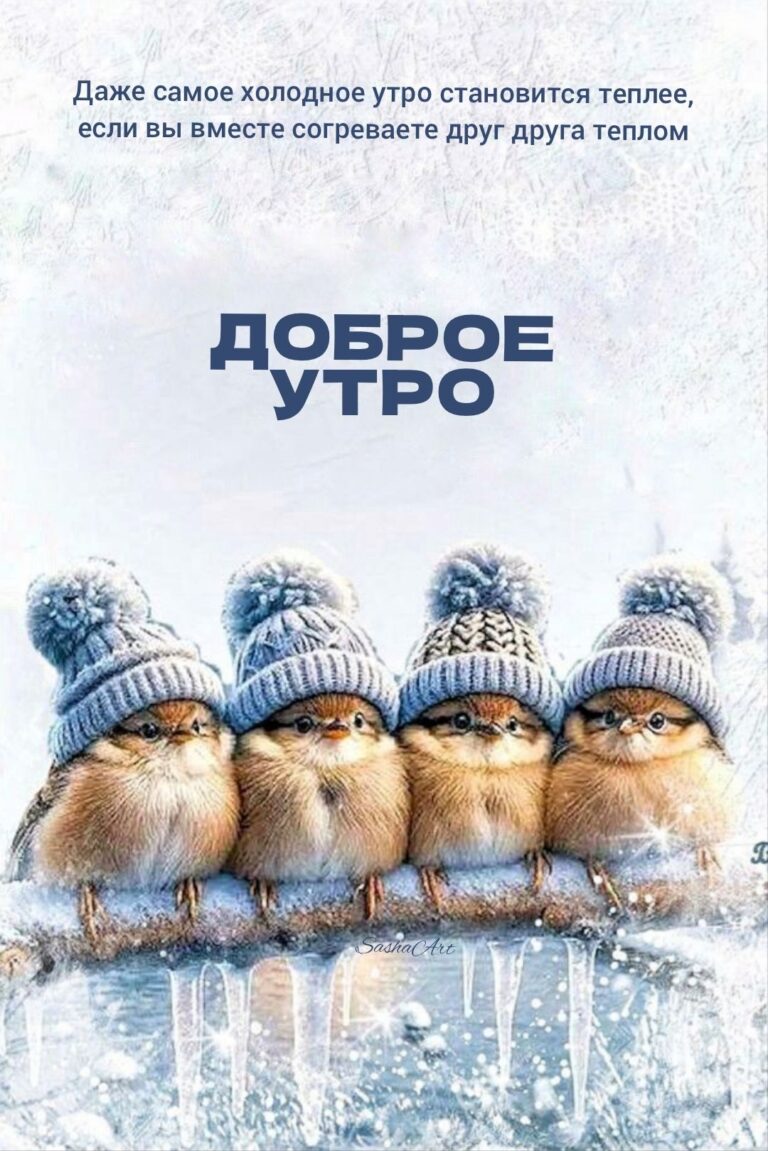 Доброе утро !