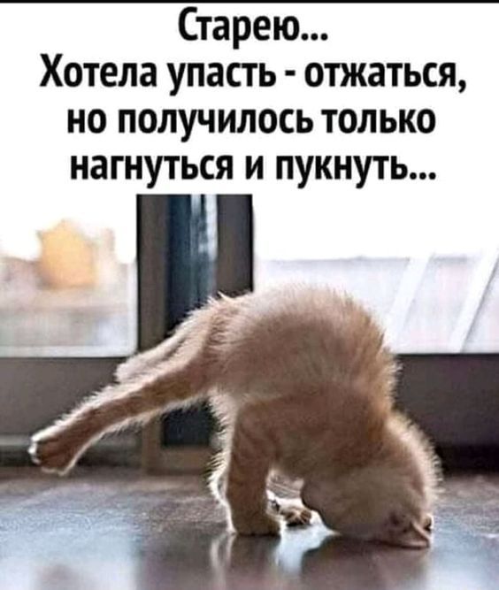 Старею… Хотела упасть – отжаться, но получилось только нагнуться и пукнуть… – АйДаПрикол
