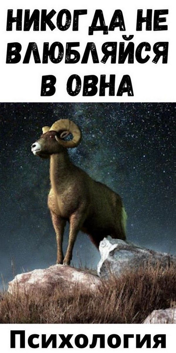 Никогда не влюбляйся в Овна | Психология Жещины