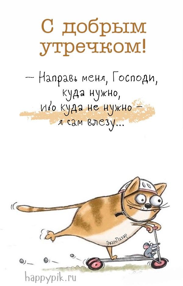 Прикольные картинки Доброе утро 👍 😄 – скачать